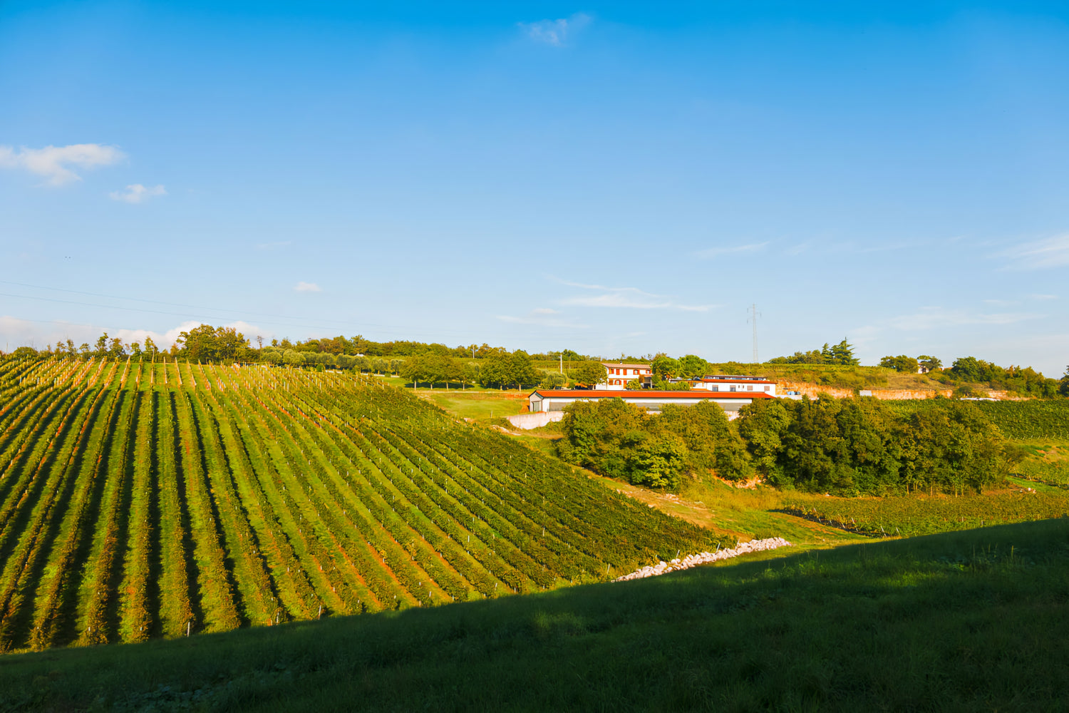 Veneto