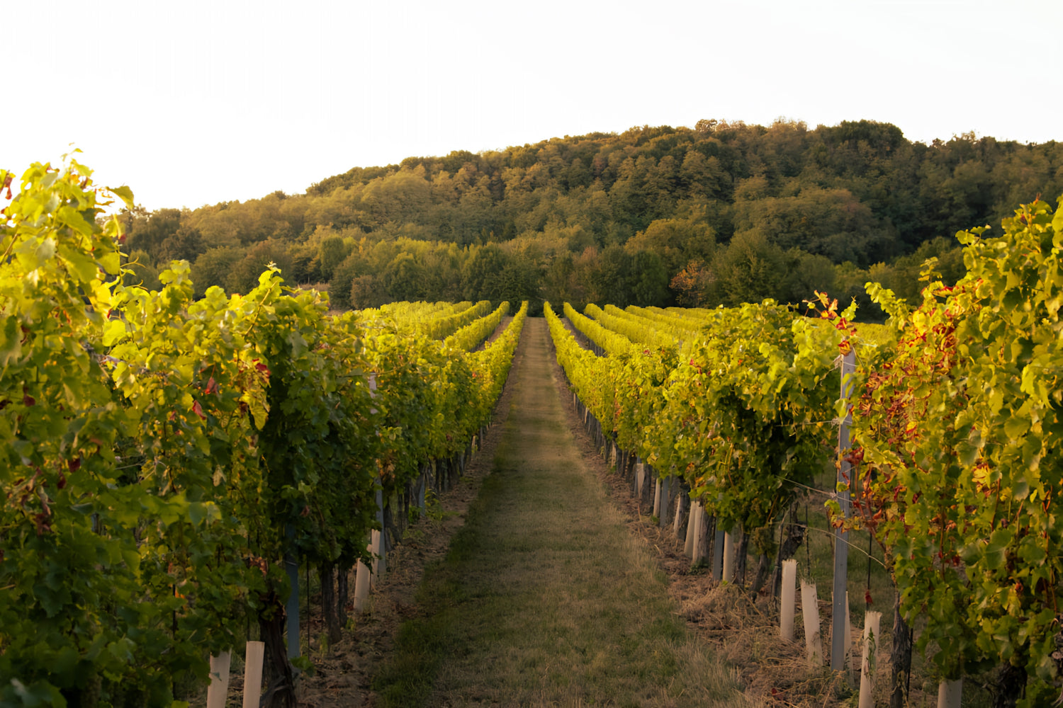 Piemonte