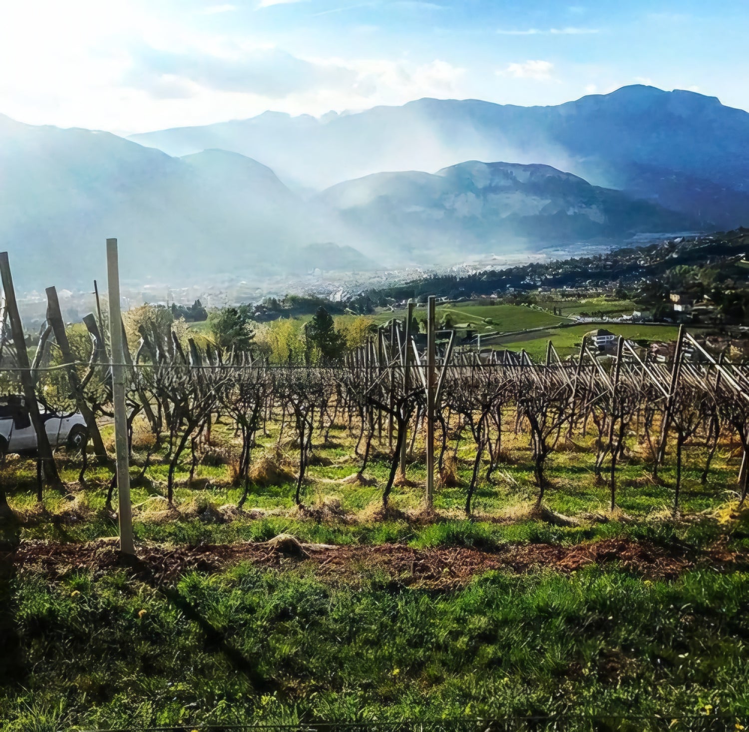 Trentino A.A.