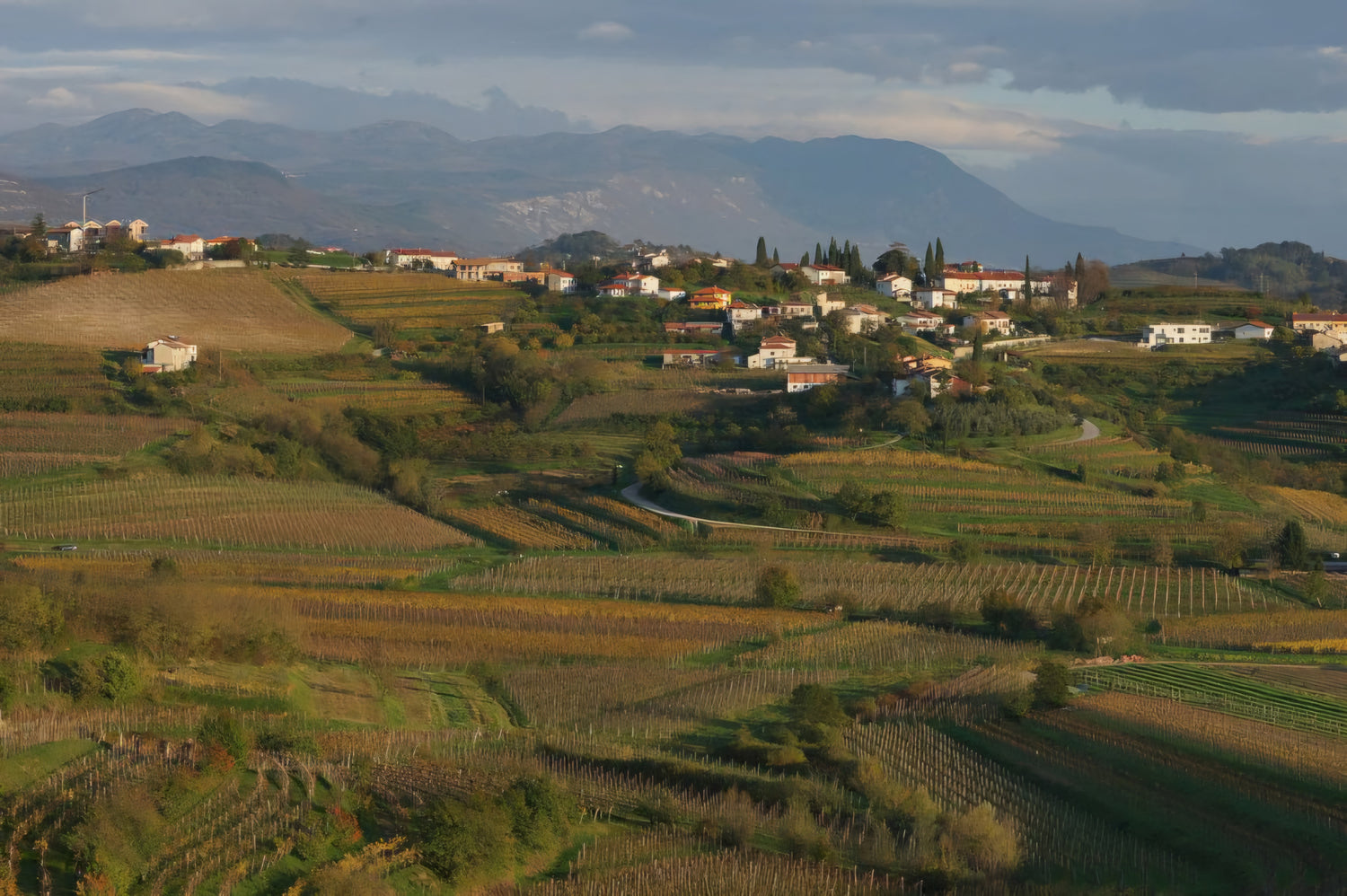 Brda - Slovenia