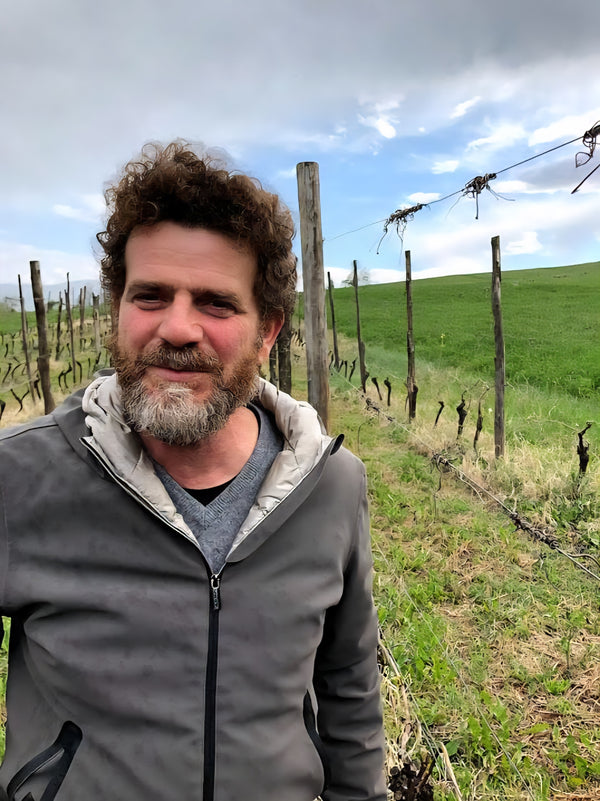 Vino del Poggio