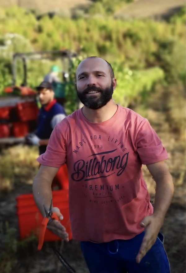 Giostra