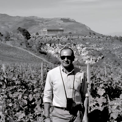 Vino Lauria