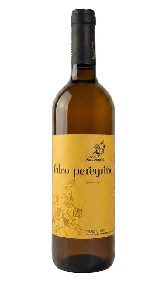 FALCO PEREGRINO