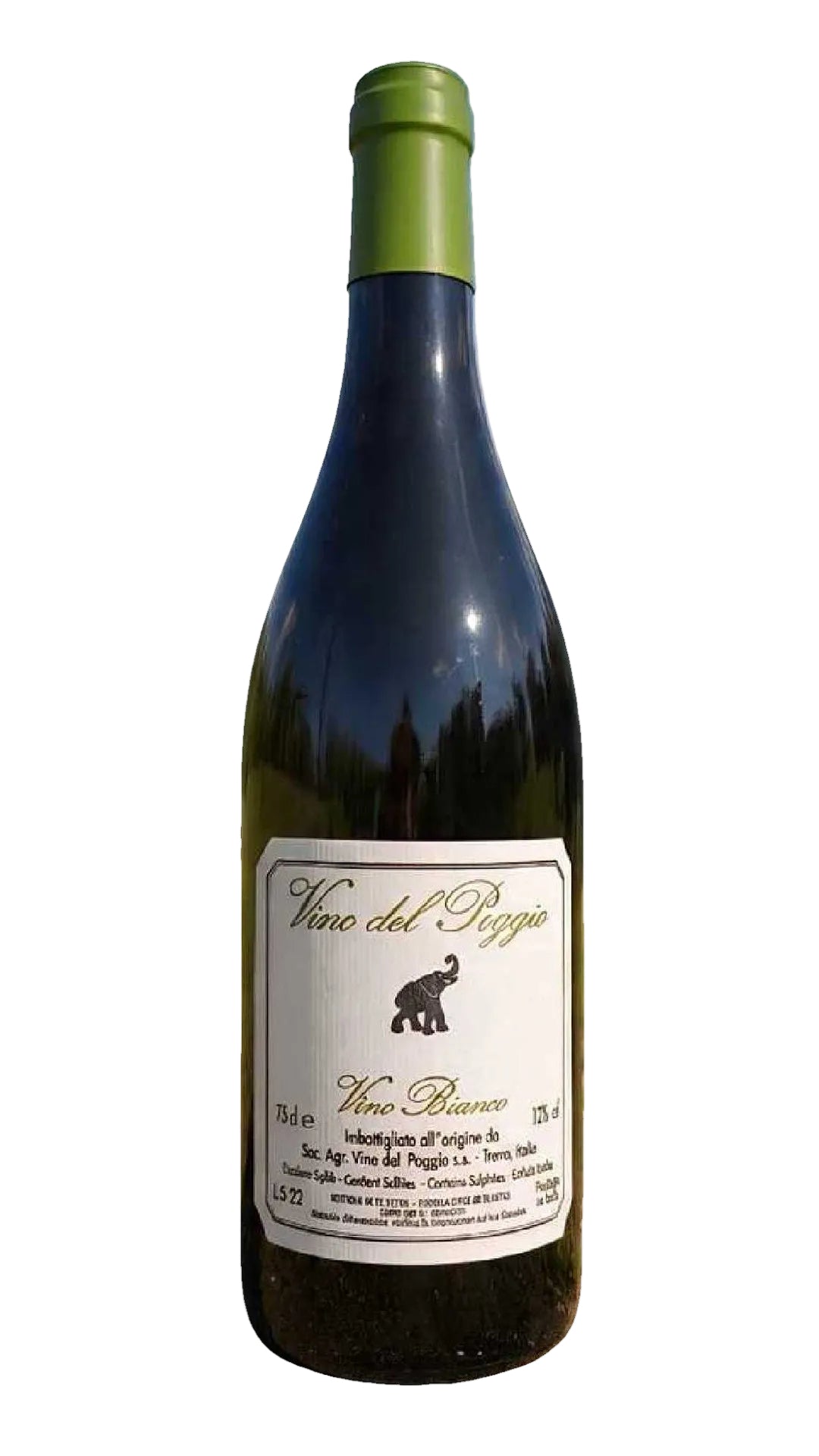 SAUVIGNON