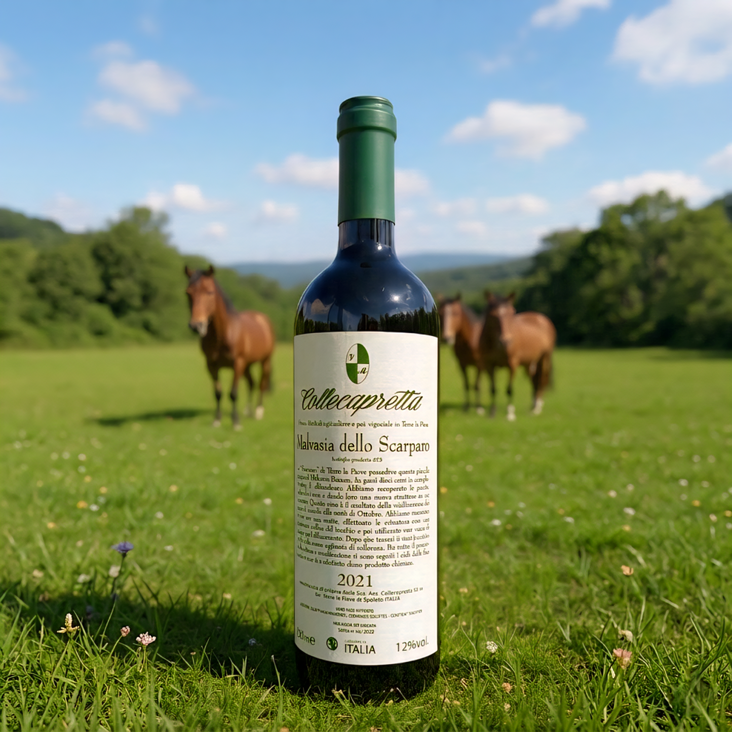 MALVASIA DELLO SCARPARO